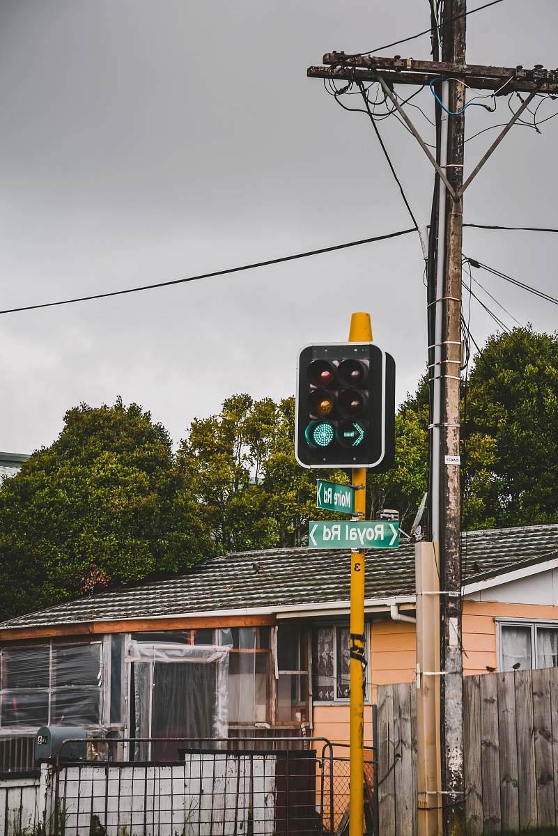traffic light traffic light on green building